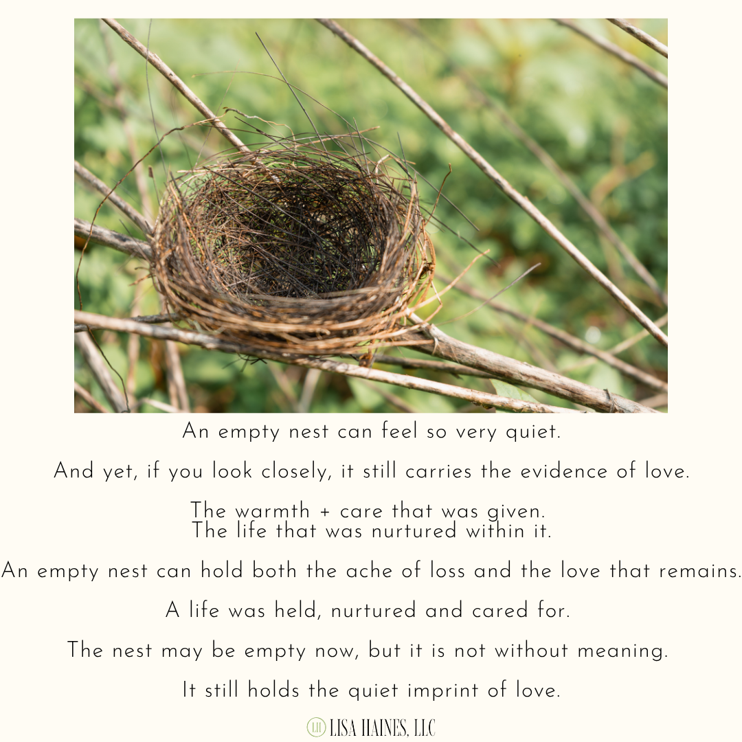 A Bird's Nest